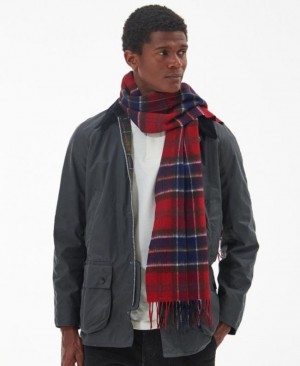 Bufanda Barbour Tartan Hombre Rojos Mexico | R6Z83806