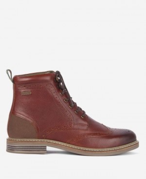 Zapatos Brogue Barbour Seaton Hombre Marrom Mexico | L3R36439