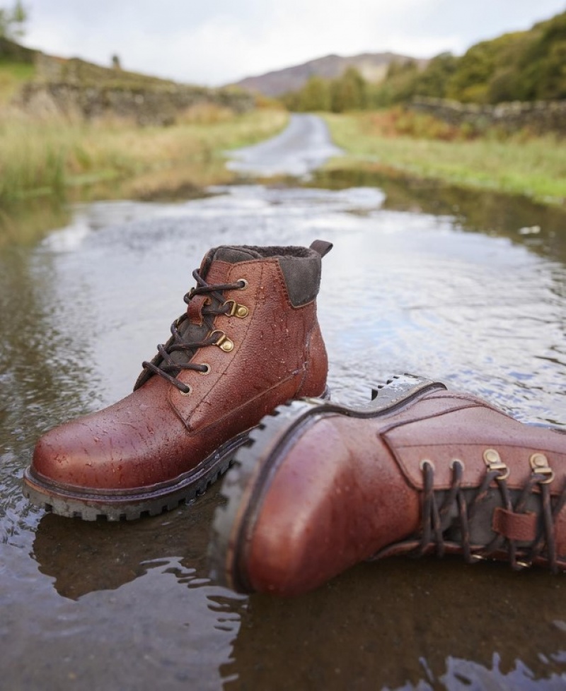 Botas Barbour Storr Hombre Marrom Mexico | O8H80889