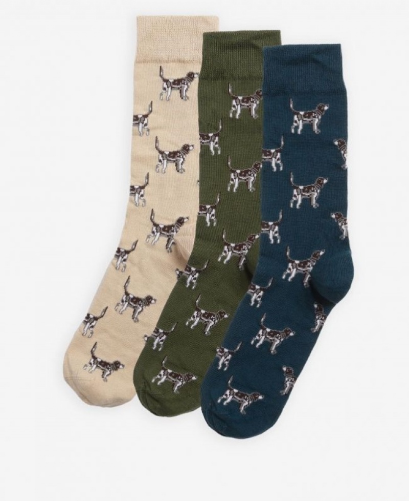 Calcetines Barbour Pointer Dog Gift Box Hombre Multicolor Mexico | V7N40877