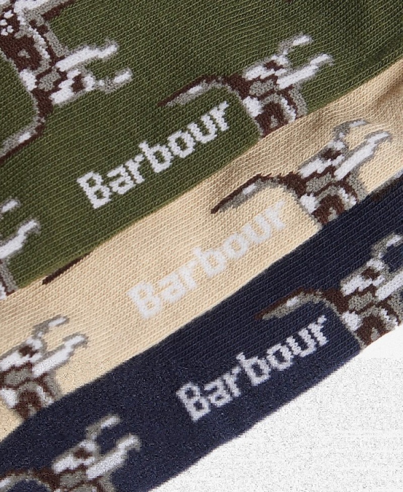 Calcetines Barbour Pointer Gift Box Dog Hombre Multicolor Mexico | G3L57476